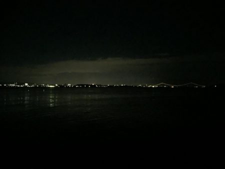 タチウオざんまい！