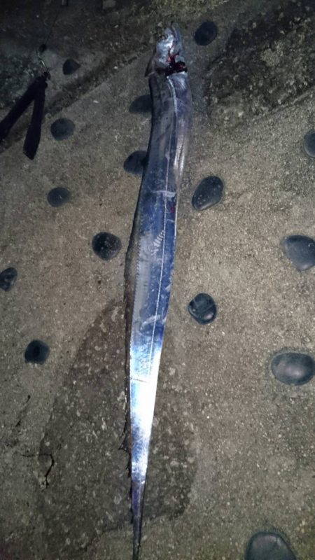 ドラゴン(ギリギリ)