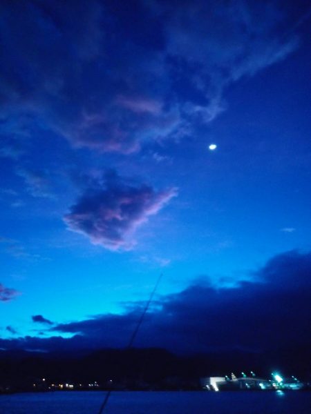 スピンテールで