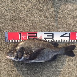 今週の釣果報告！11月10日（土）