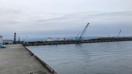 まだ太刀魚はシブい