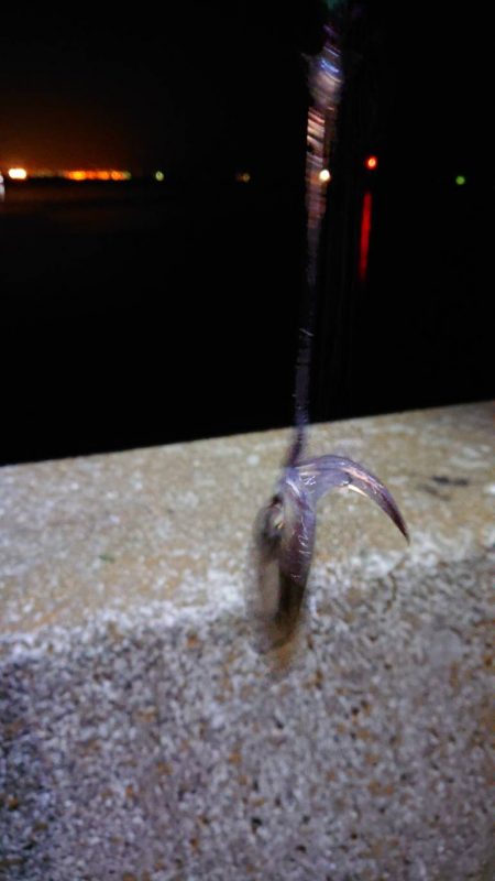 めっちゃ渋い(>_<)