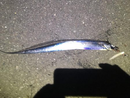 行って良かった！