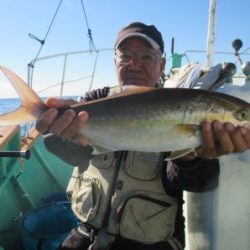青物釣り