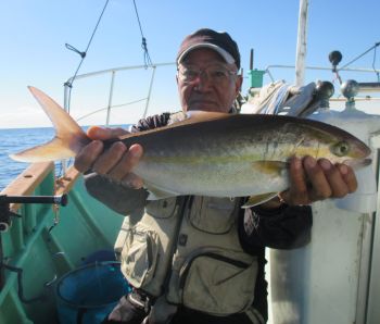 青物釣り