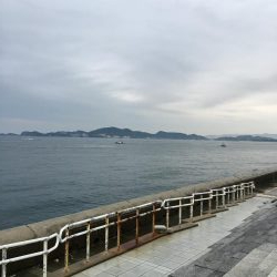 太刀魚渋い デカアジ回遊中