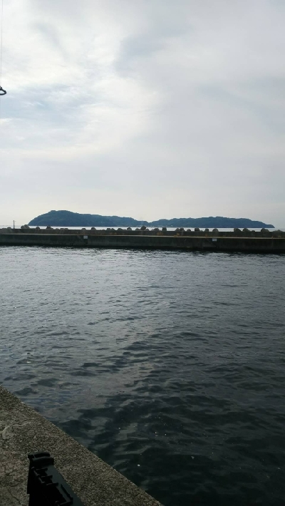 太刀魚は居てます