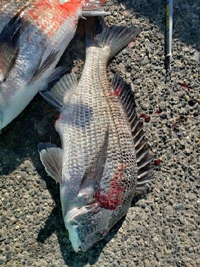 潮は動かないけど。