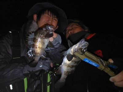 メバリング開幕