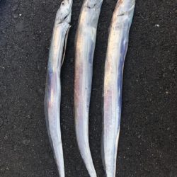 三宅さん試したくて。