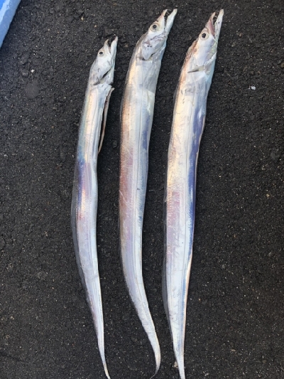 三宅さん試したくて。