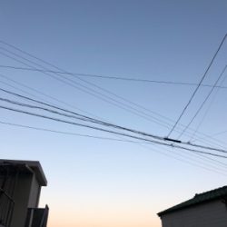 夕まずめ釣り