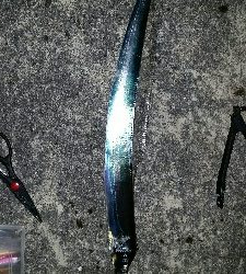 神戸沖堤調査No2