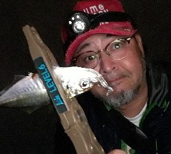 今夜もアジ調査