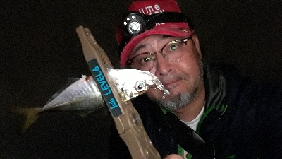 今夜もアジ調査