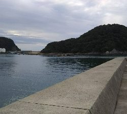 いきなりヒット！