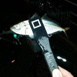 舞洲アジングNo7