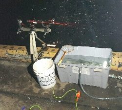 シーズン最終か？