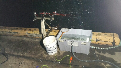 シーズン最終か？