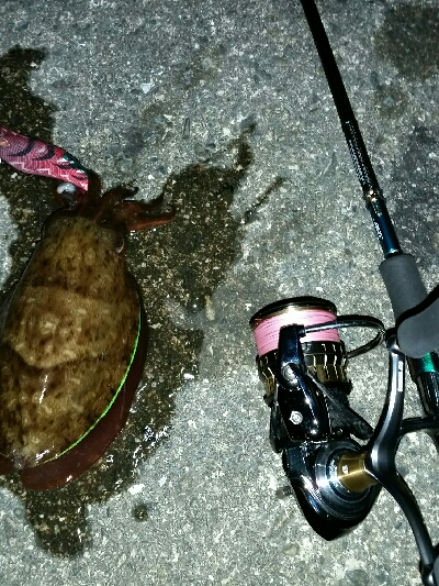 釣り人いっぱい