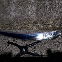 そろそろ終盤？