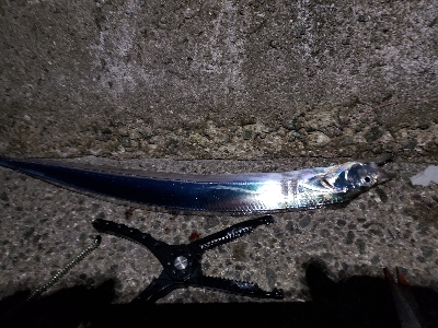 そろそろ終盤？