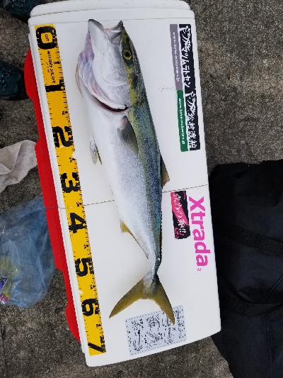 足で稼ぐ釣り。