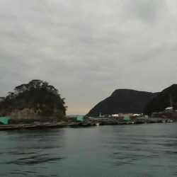 初めてのカセ釣りで石鯛！