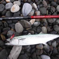 七里御浜サーフのショアジギ