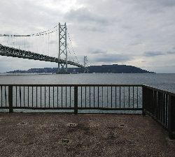 サビキ釣、カワハギ仕掛け