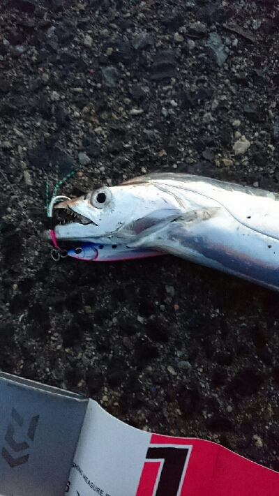 今日は子供もメインで