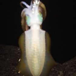 風が強いなか・・・