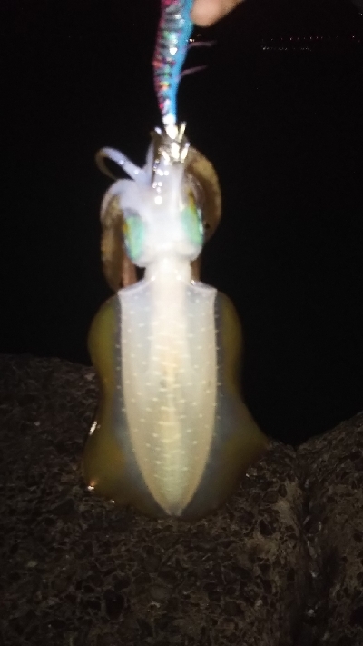 風が強いなか・・・