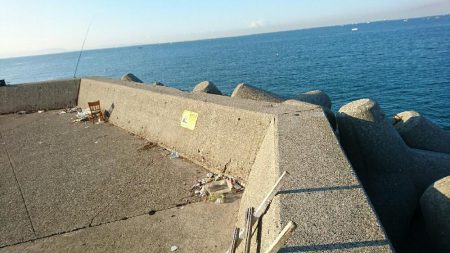 初メジロだす。