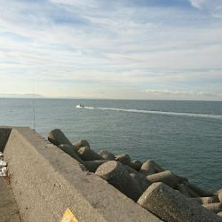 寒くなってきました。