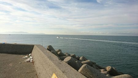 寒くなってきました。