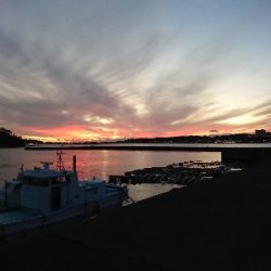 久しぶりの串本