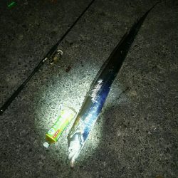 ドラゴン！！！