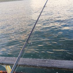 なんか渋く感じた