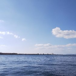 タチウオもう数は釣れないのか