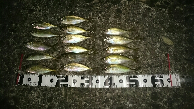 強風に戦いながら