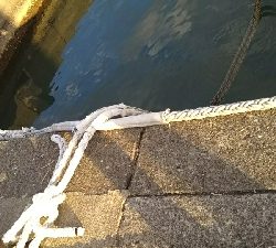 三重県まで遠征