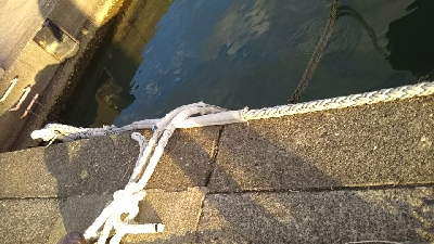 三重県まで遠征