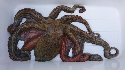 エギングのはずが…