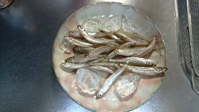 東条湖のワカサギ