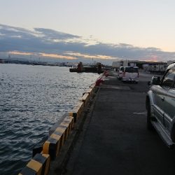 釣り部  釣行記  22