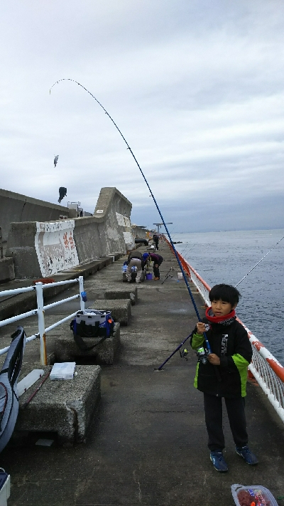 子供が大喜び！