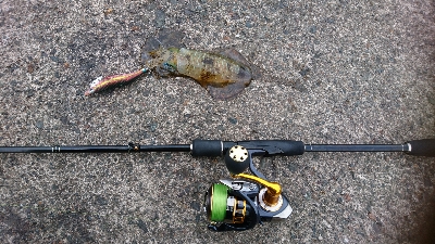 爆風にもマケズ