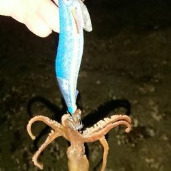 地元サイズ・・・