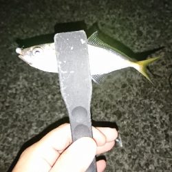 ひさびさの釣り